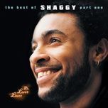 luv me, luv me - shaggy, janet jackson