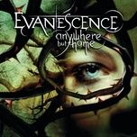 imaginary (live from le zenith,france/2004) - evanescence