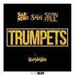 trumpets (extended mix) - sak noel, salvi, sean paul