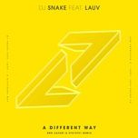 a different way (bro safari & etc!etc! remix) - dj snake, lauv