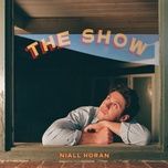 on a night like tonight - niall horan
