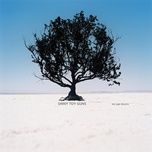 le disko - shiny toy guns