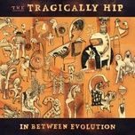 heaven is a better place today - the tragically hip