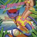 be cool - the rippingtons, dave koz