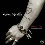 blame it on my youth (album version) - aaron neville