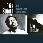 mean old train - otis spann, muddy waters