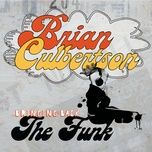 you got to funkifize - brian culbertson