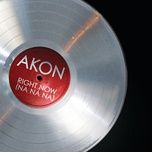 right now (na na na) (instrumental) - akon