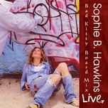 walking on thin ice (live) - sophie b hawkins