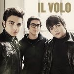 notte stellata (the swan) - il volo