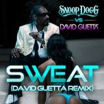 sweat (remix) - snoop dogg, david guetta