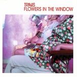 flowers in the window - travis