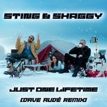 just one lifetime (dave aude remix) - sting, shaggy, dave aude