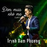 dem mua nho me (lofi) - trinh nam phuong