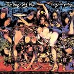 fifty-mission cap (live) - the tragically hip