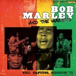 you can't blame the youth (live) - bob marley, the wailers