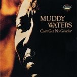 whiskey no good - muddy waters