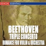violin concerto in d major, op. 61: ii. larghetto - beethoven