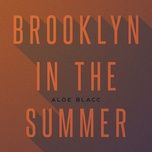 brooklyn in the summer (unplugged) - aloe blacc