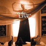 run away (2004 remix) - live, shelby lynne