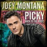 picky (rls & 2frenchguys) - joey montana, akon, mohombi