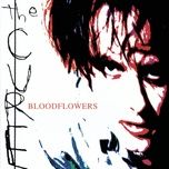 bloodflowers - the cure