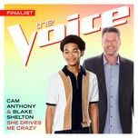 she drives me crazy (the voice performance) - cam anthony, blake shelton