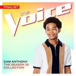 she drives me crazy (the voice performance) - cam anthony, blake shelton