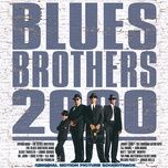 funky nassau - the blues brothers, john goodman, paul shaffer, dan aykroyd, erykah badu, joe morton