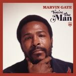 my last chance (7” single version) - marvin gaye