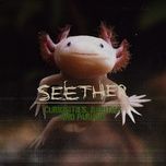 safe to say i've had enough - seether