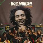 satisfy my soul - bob marley, the wailers, chineke! orchestra