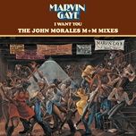 i want you (john morales m+m pianopella mix) - marvin gaye