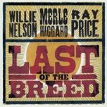 i love you because (album version) - willie nelson, merle haggard, ray price