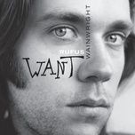 in with the ladies - rufus wainwright