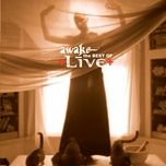 run away (2004 remix) - live, shelby lynne