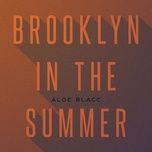 brooklyn in the summer (grand scheme mix) - aloe blacc