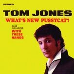 endlessly - tom jones