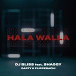 hala walla - dj bliss, shaggy, daffy, flipperachi