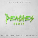 peaches (remix) [explicit] - justin bieber, ludacris, usher, snoop dogg