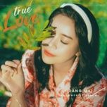 true love - hoang mai