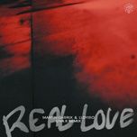 real love (liva k remix) - martin garrix, lloyiso