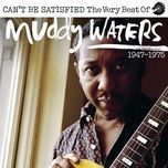 let the good times roll - muddy waters