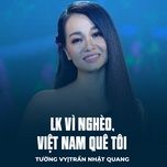 lk vi ngheo, viet nam que toi - tuong vy, tran nhat quang