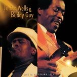 messin' with the kid (live) - junior wells, buddy guy