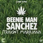 straight marijuana - beenie man, sanchez