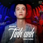 tinh anh (ciray remix) - dinh dung