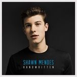 aftertaste - shawn mendes
