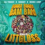 boom boom bam bam (littgloss radio remix) - dj youcef, shaggy, richie loop