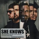 she knows (with akon) - dimitri vegas & like mike, david guetta, afro bros
